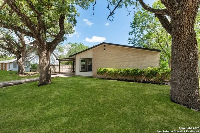 a view of a backyard with large trees