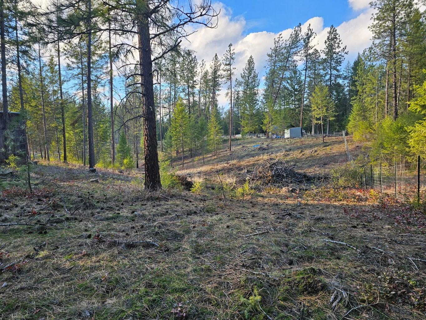 346 Old Dominion Road Colville, WA 99114 - Photo 12 of 28