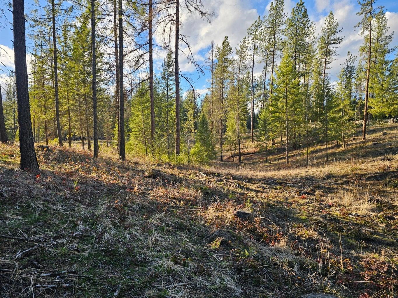 346 Old Dominion Road Colville, WA 99114 - Photo 13 of 28