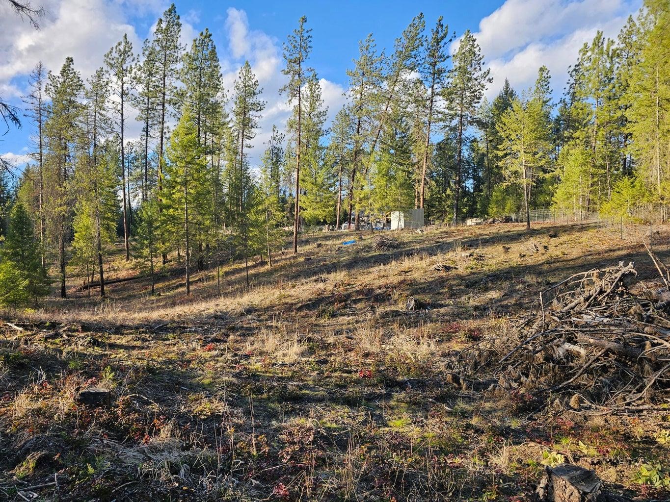 346 Old Dominion Road Colville, WA 99114 - Photo 14 of 28