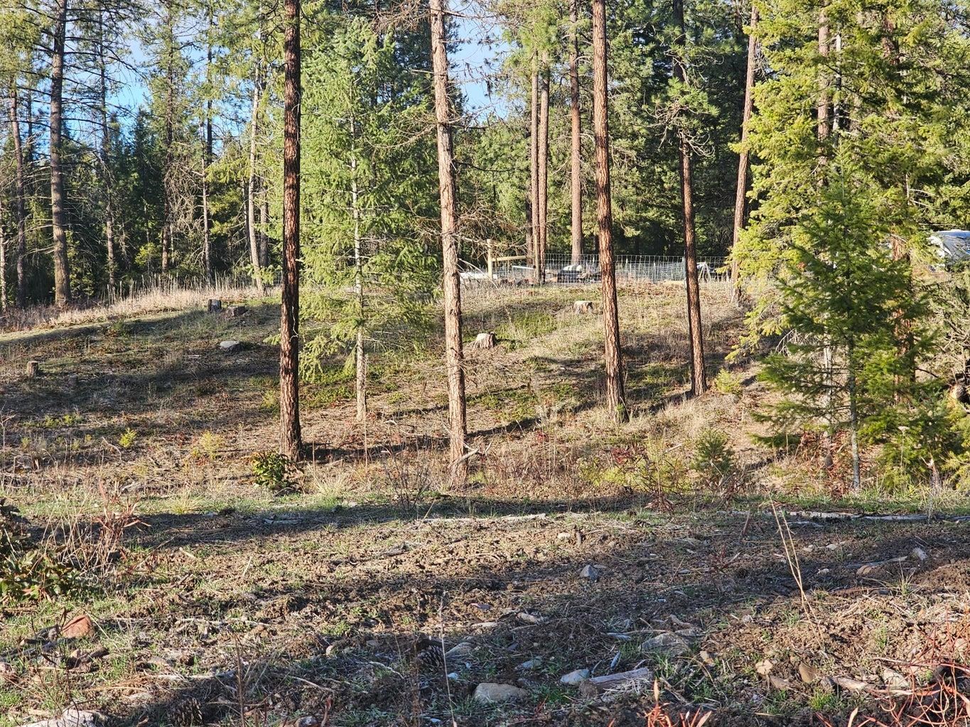 346 Old Dominion Road Colville, WA 99114 - Photo 17 of 28