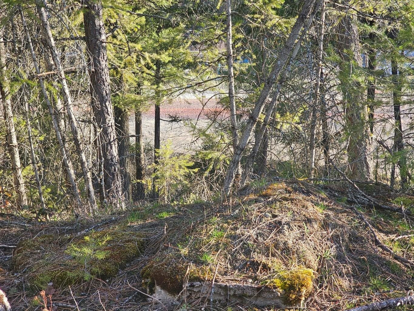 346 Old Dominion Road Colville, WA 99114 - Photo 19 of 28