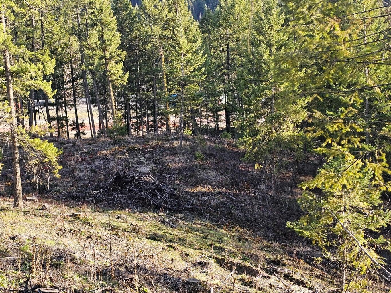346 Old Dominion Road Colville, WA 99114 - Photo 26 of 28