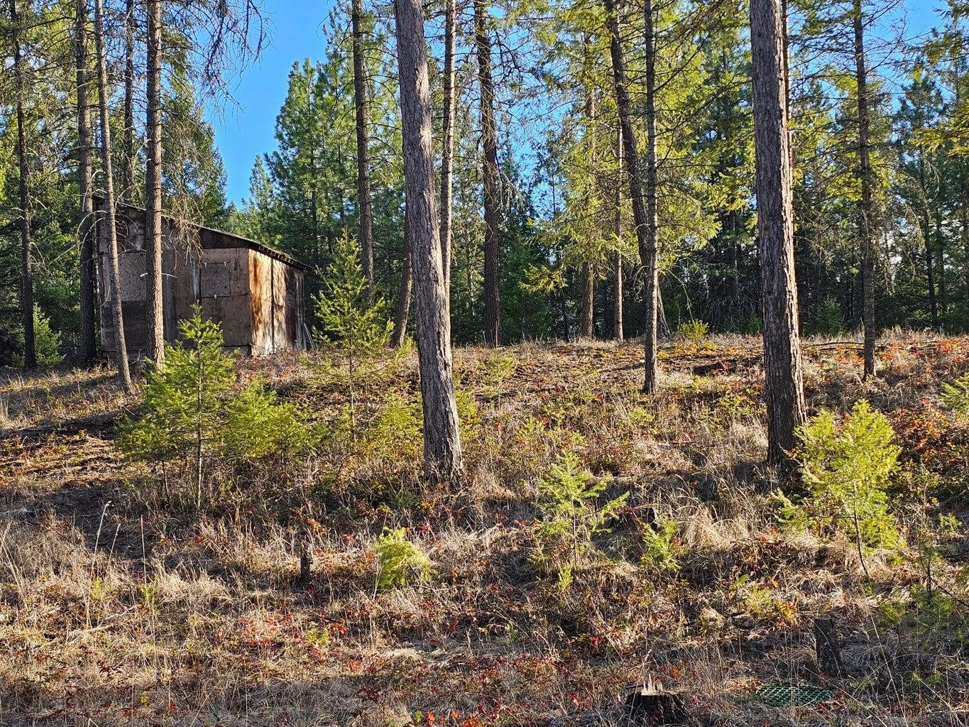 346 Old Dominion Road Colville, WA 99114 - Photo 6 of 28