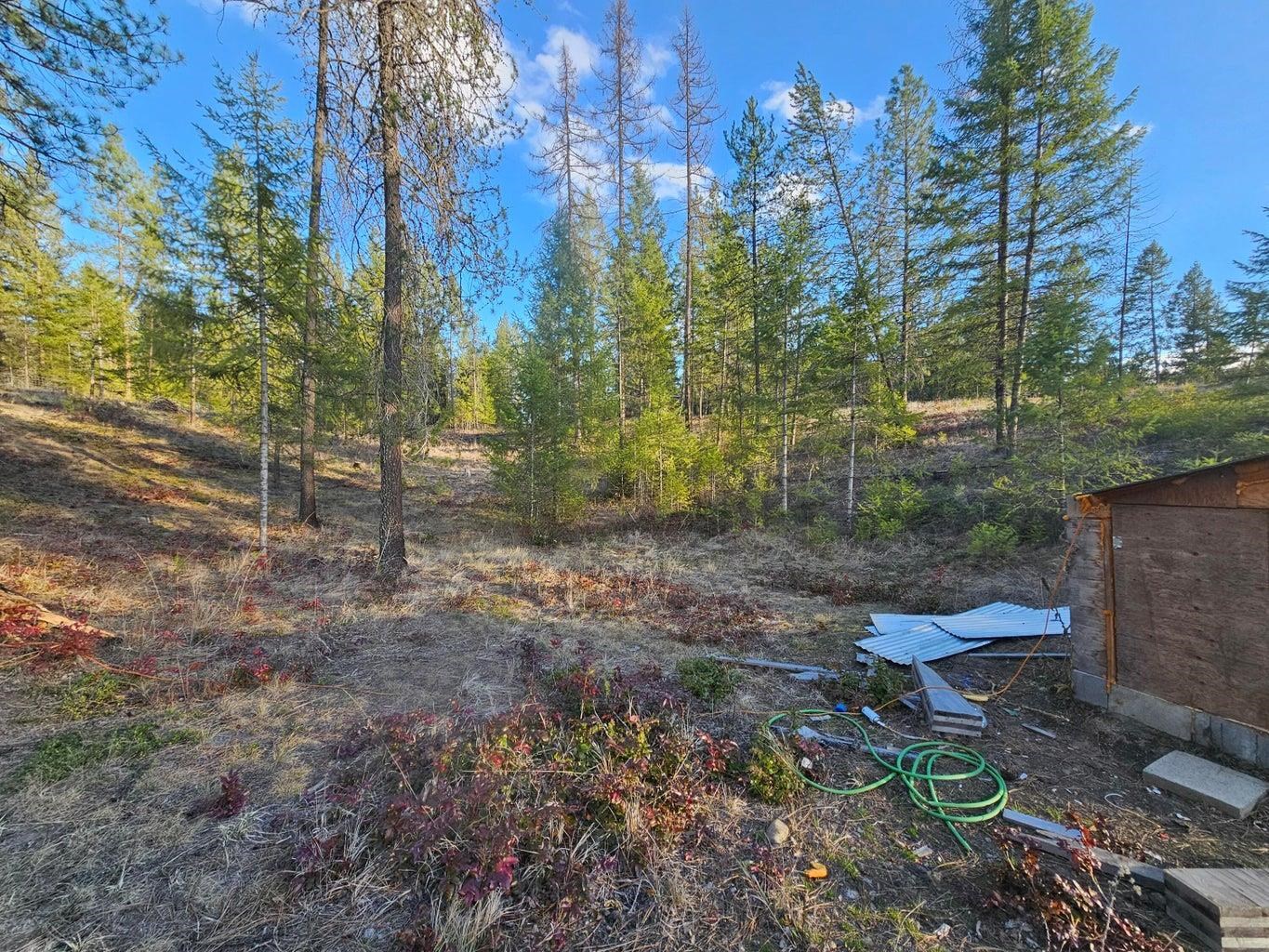 346 Old Dominion Road Colville, WA 99114 - Photo 7 of 28