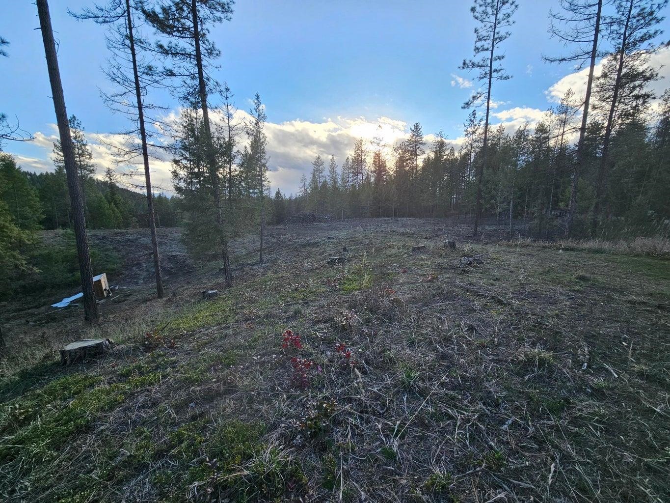 346 Old Dominion Road Colville, WA 99114 - Photo 9 of 28