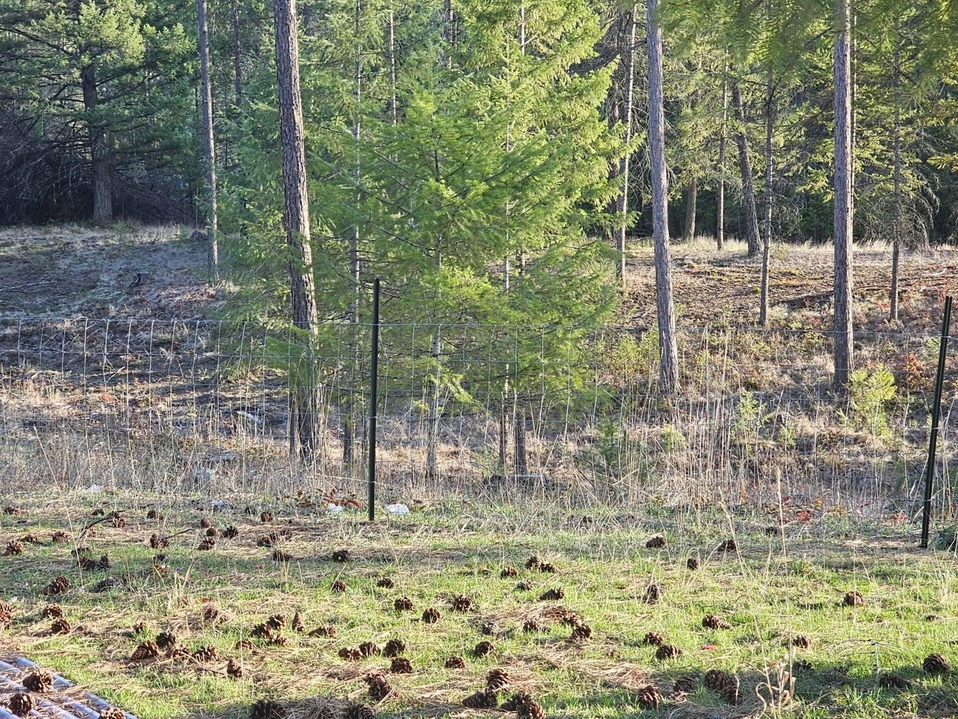 346 Old Dominion Road Colville, WA 99114 - Photo 10 of 28