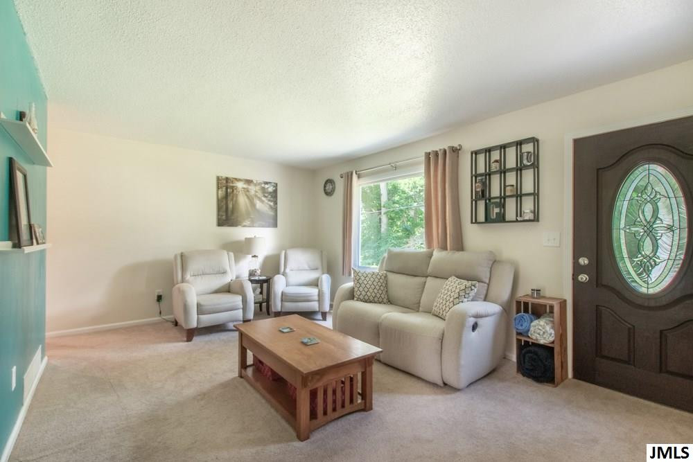 7101 Browns Lake Road Jackson, MI 49201 - Photo 4 of 23 Photo 4