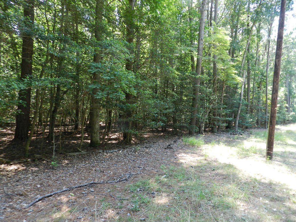 Lot B6 Saltworks Road, Unit B6 Exmore, VA 23350 - Photo 25 of 28
