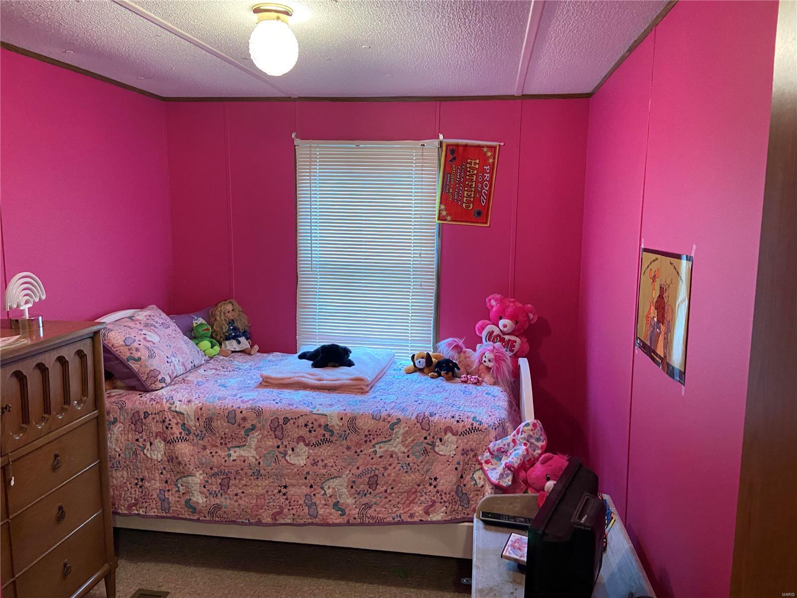 1040 Raintree Road Carrier Mills, IL 62917 - Photo 15 of 37 Gallery Image 15
