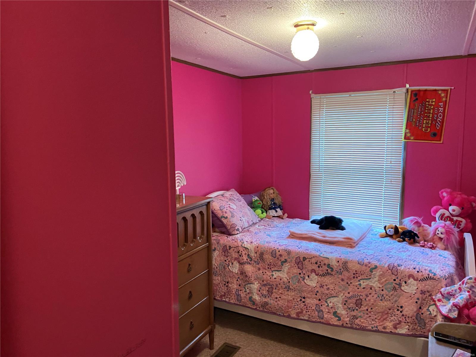 1040 Raintree Road Carrier Mills, IL 62917 - Photo 16 of 37 Gallery Image 16