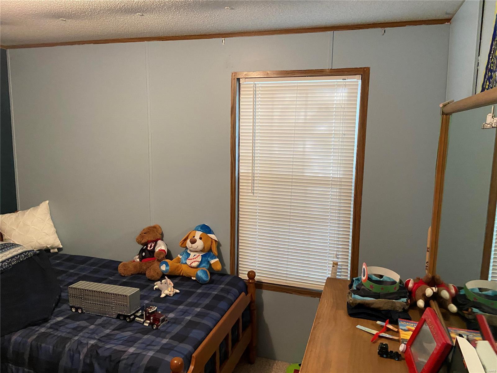 1040 Raintree Road Carrier Mills, IL 62917 - Photo 17 of 37 Gallery Image 17