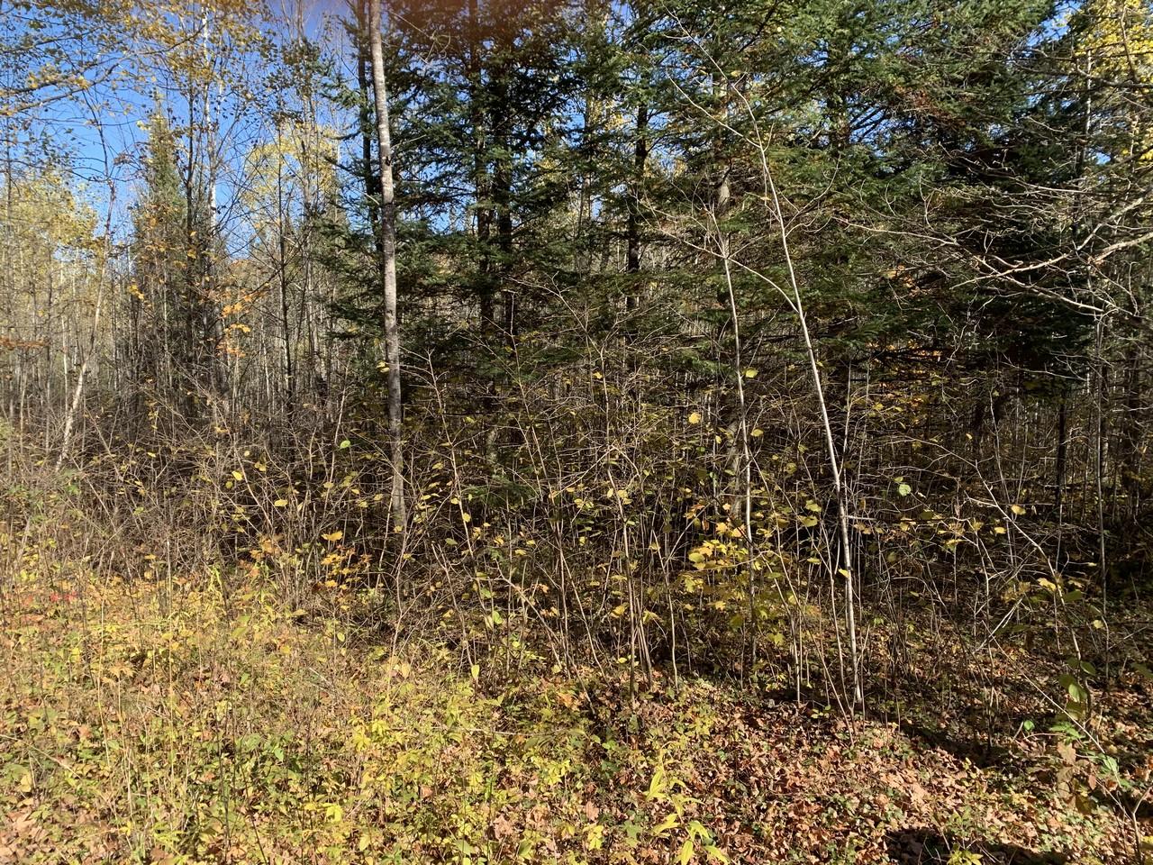 On Military Road, Unit 61 ACRES Eagle River, WI 54521 - Photo 14 of 17 Gallery Image 14