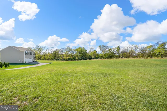 a view of a field with an ocean