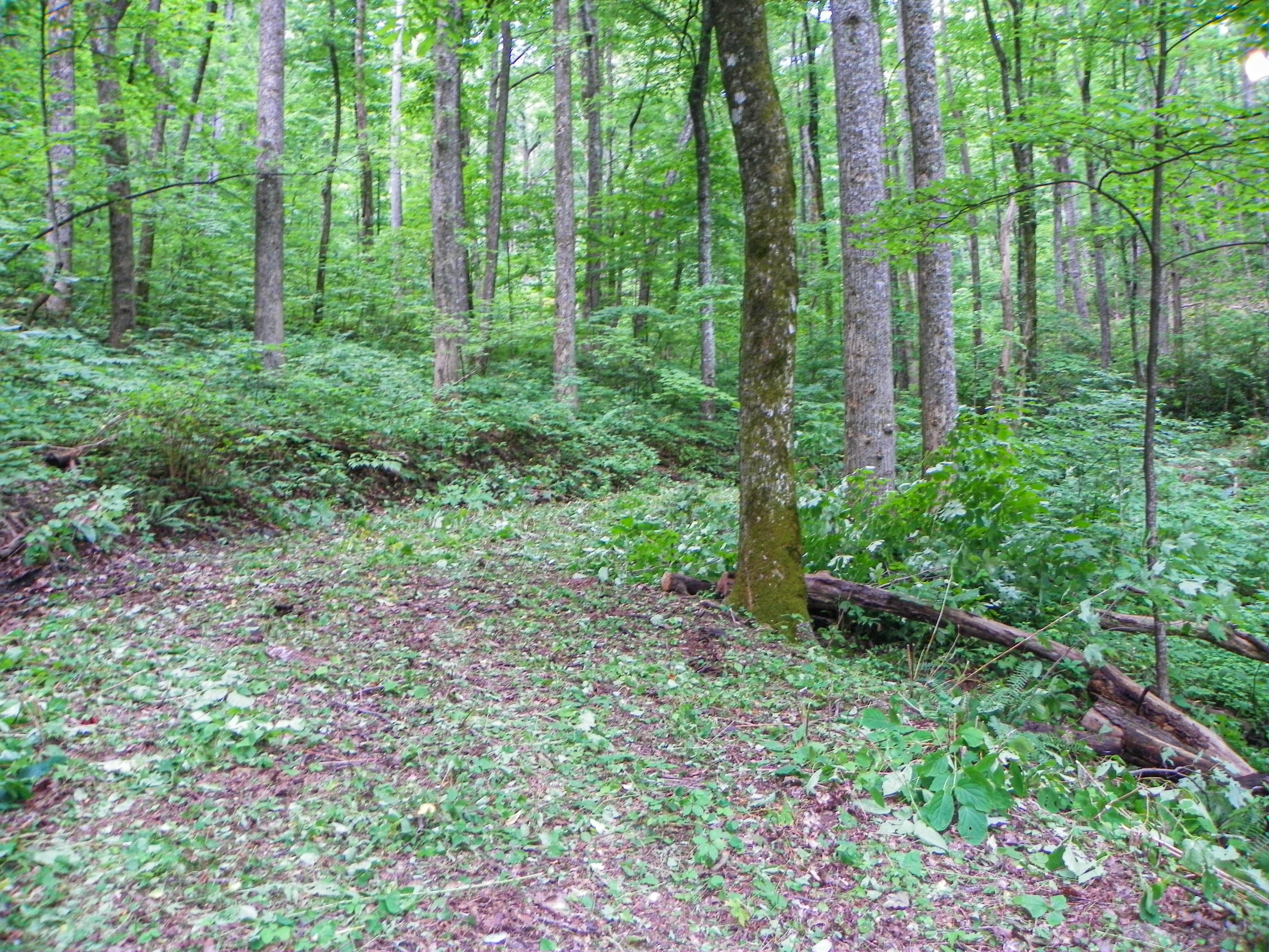 Lot#8 Brooke Hollow Road Sevierville, TN 37862 - Photo 22 of 23 100_0051