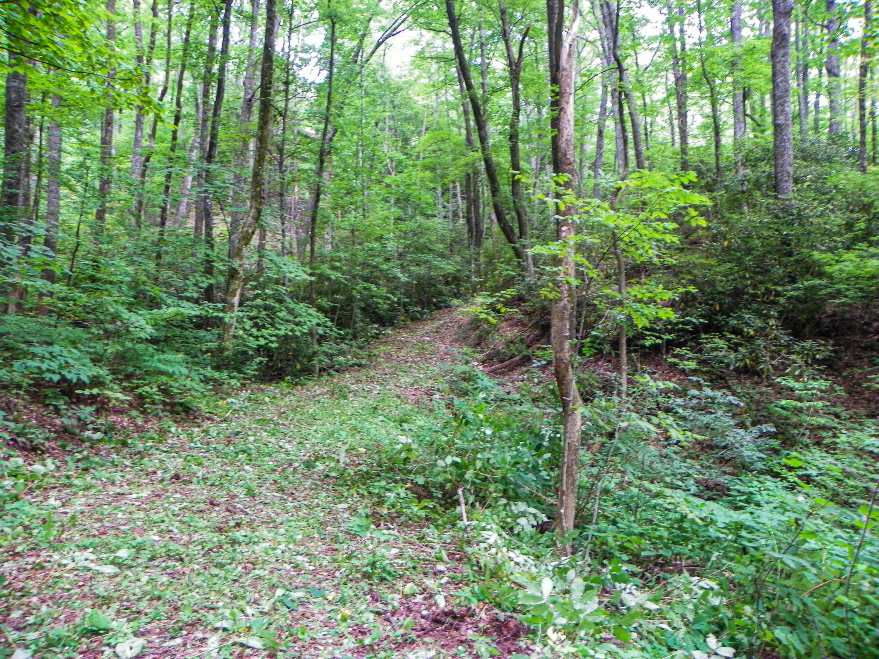 Lot#8 Brooke Hollow Road Sevierville, TN 37862 - Photo 8 of 23 100_0053