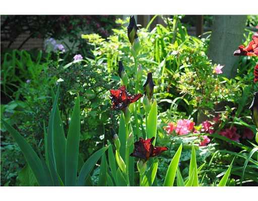 256 Sweet Gum Road Pittsburgh, PA 15238 - Photo 12 of 12 Yard/Garden.