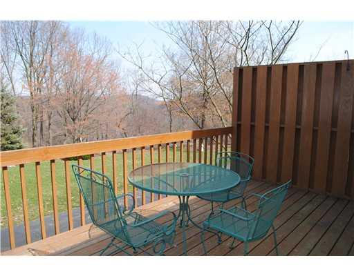 256 Sweet Gum Road Pittsburgh, PA 15238 - Photo 9 of 12 Patio/Deck.
