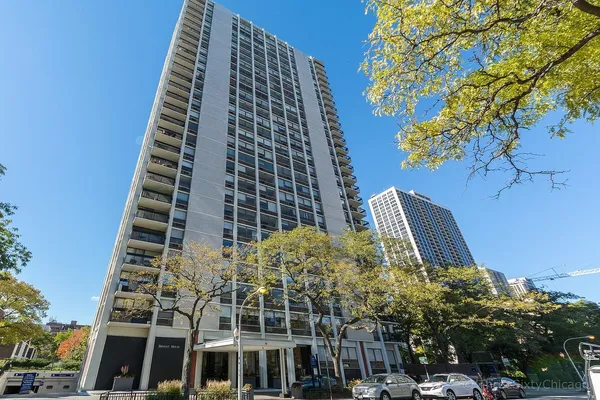 $3,000 | 1455 North Sandburg Terrace, Unit 509, Chicago, IL 60610