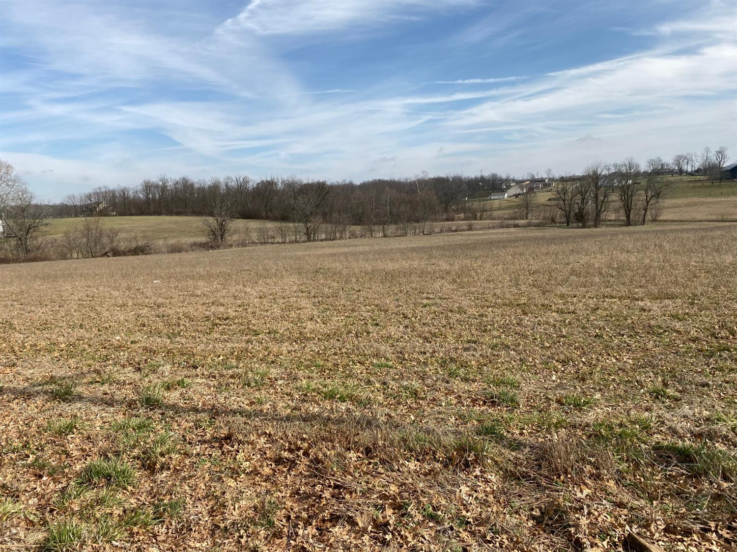 1090 Old Delaplain Road Georgetown, KY 40324 - Photo 5 of 11 Photo 5