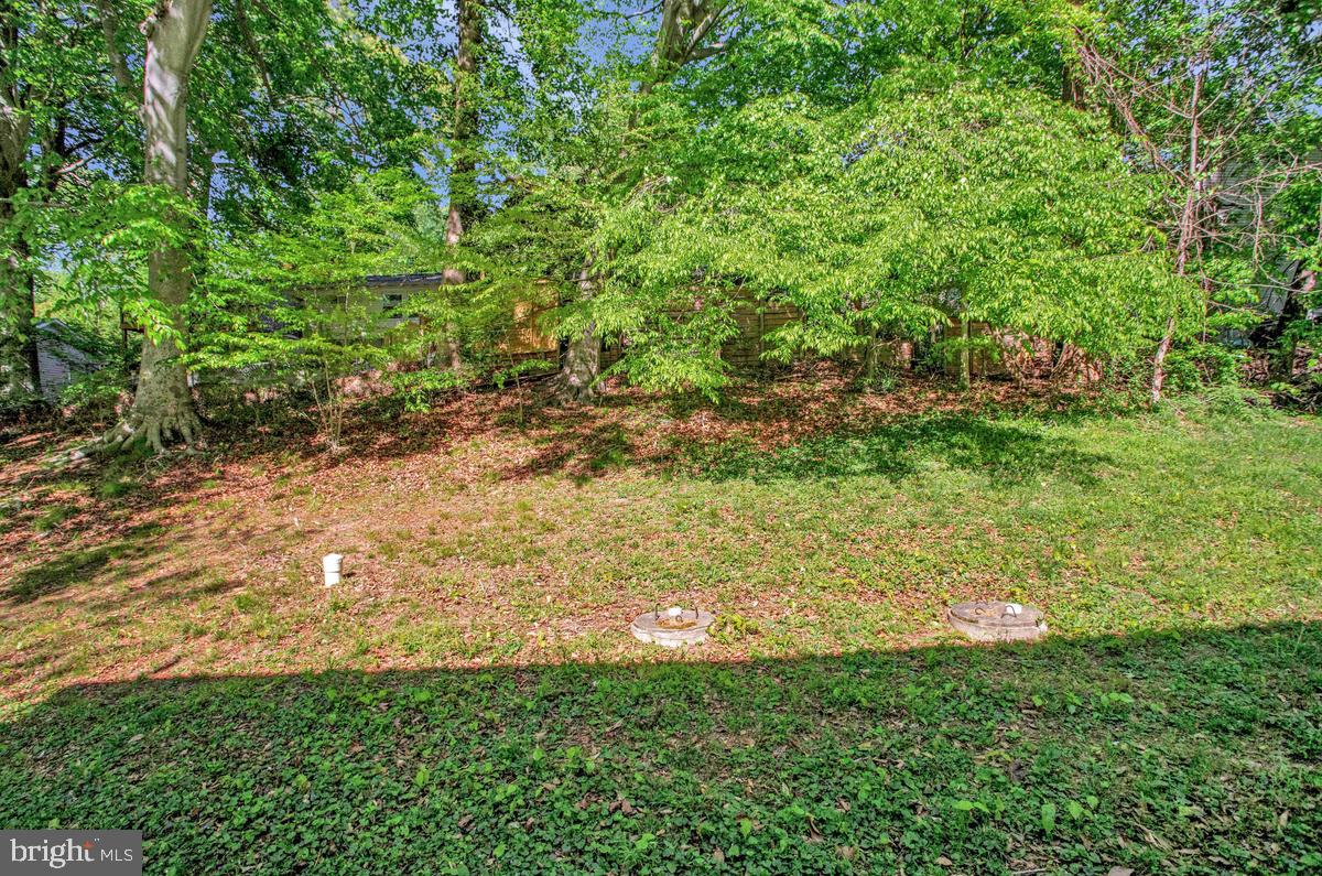6098 Fir Road St. Leonard, MD 20685 - Photo 25 of 25 Lush greenery on a serene hillside.
