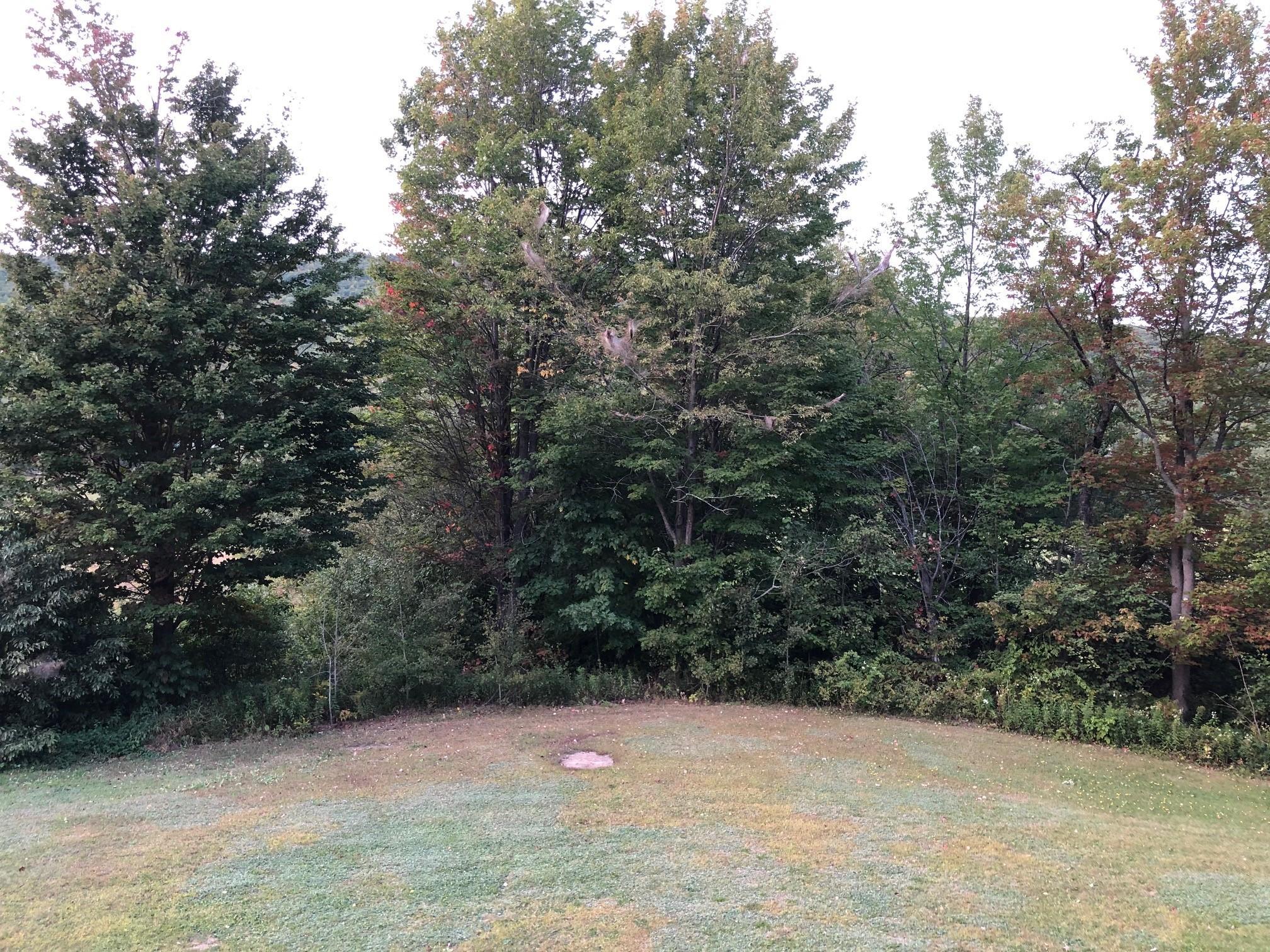 462 South Rumford Road Rumford, ME 04276 - Photo 54 of 68 more yard