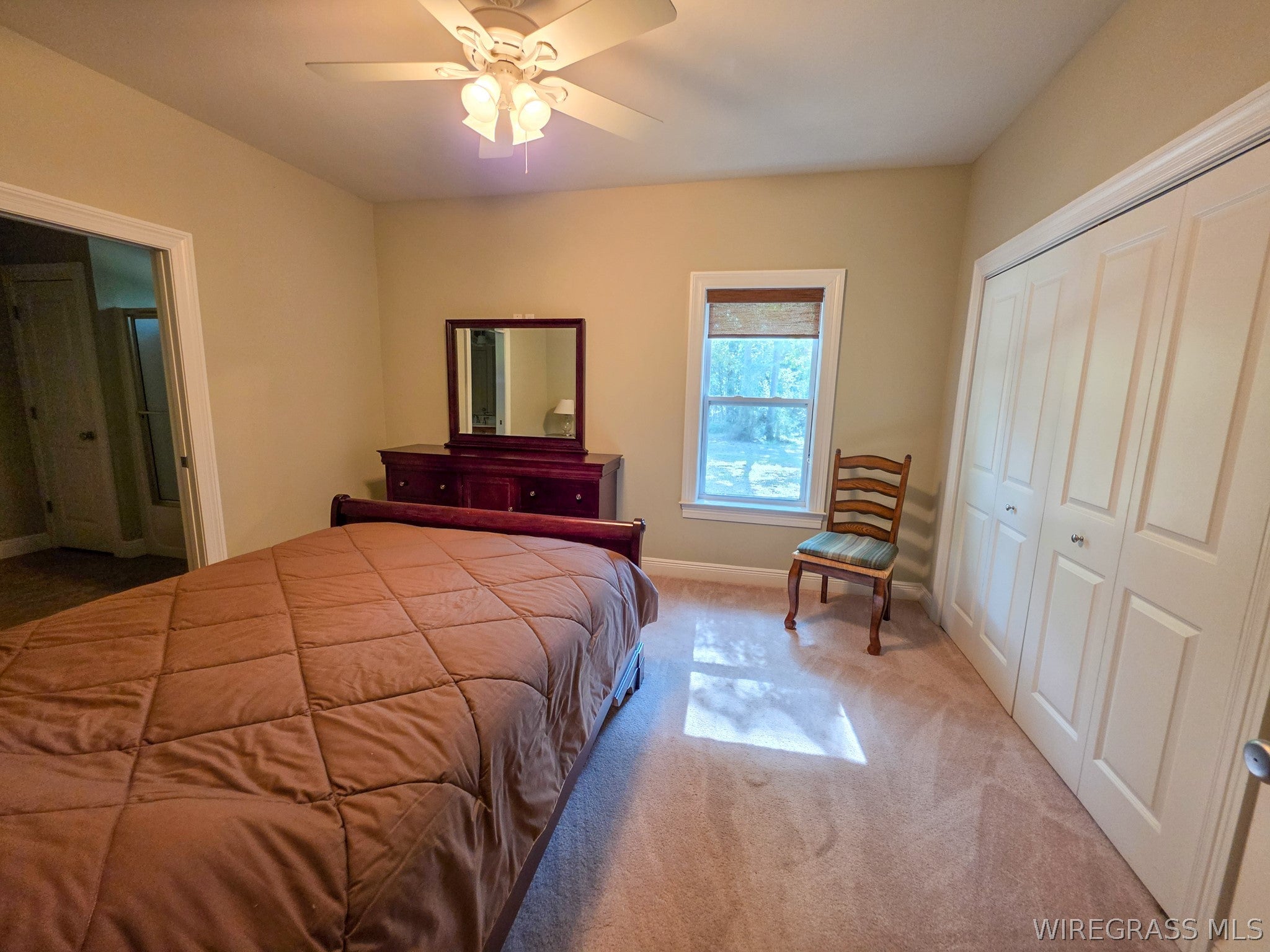 3433 Iron Bridge Road Samson, AL 36477 - Photo 13 of 57 Gallery Image 13