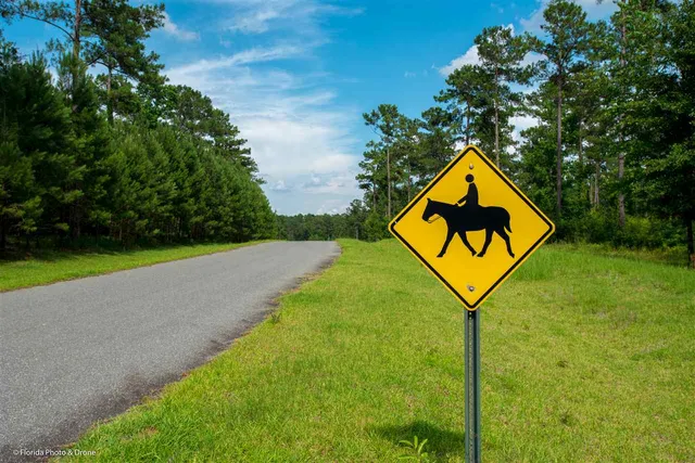 $177,066 | Lot 7 San Bonita Boulevard, Unit 1, Havana, FL 32333