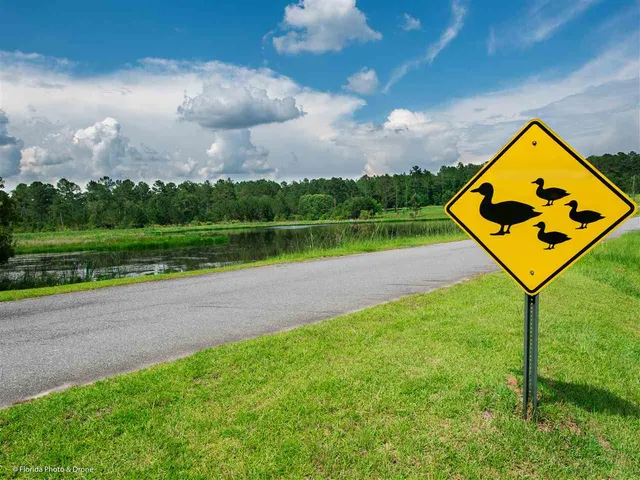 $177,066 | Lot 7 San Bonita Boulevard, Unit 1, Havana, FL 32333