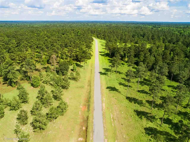 $177,066 | Lot 7 San Bonita Boulevard, Unit 1, Havana, FL 32333