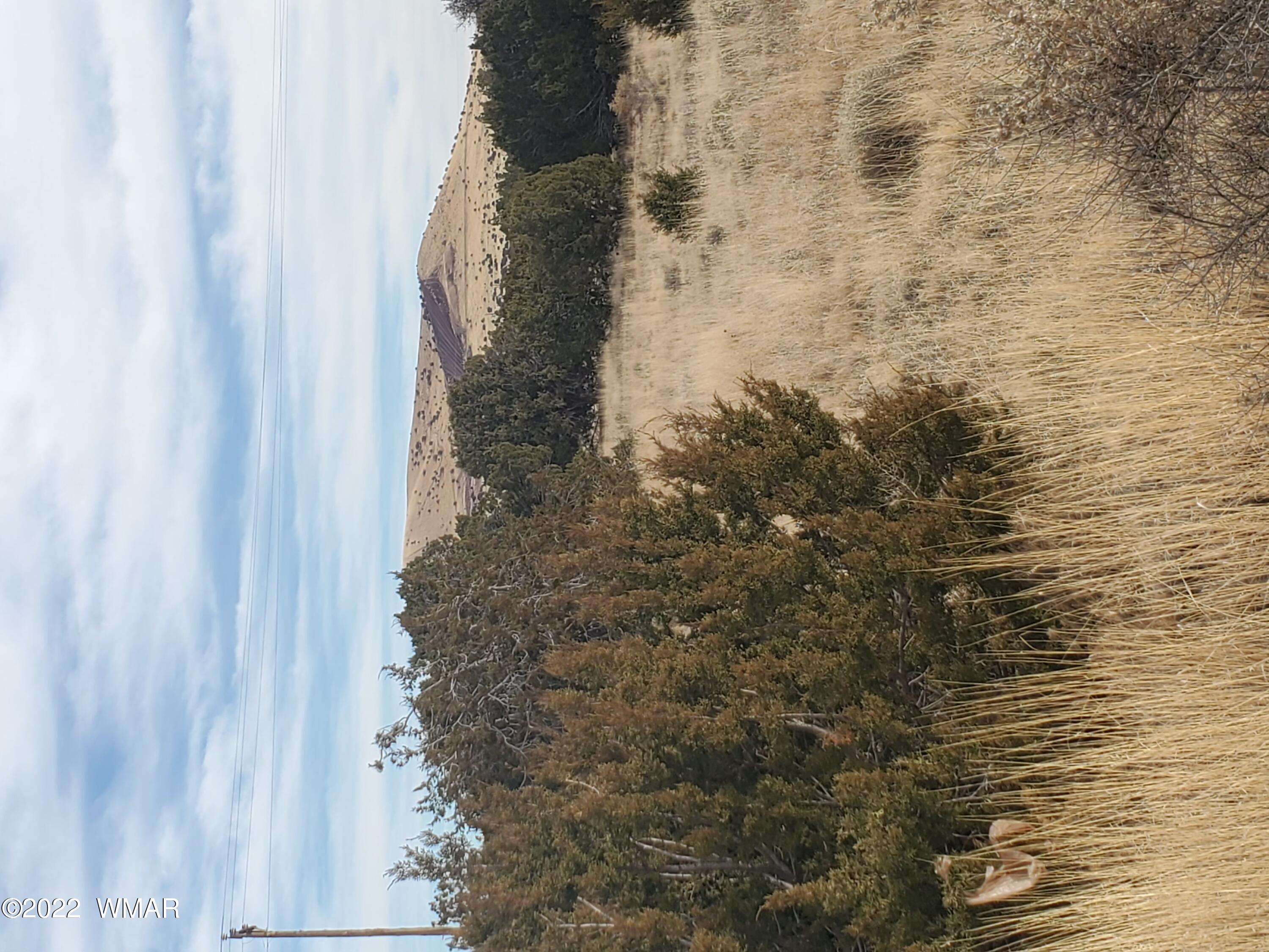 03 Concho Az 85924 Concho, AZ 85924 - Photo 1 of 1 a view of mountain with lake view