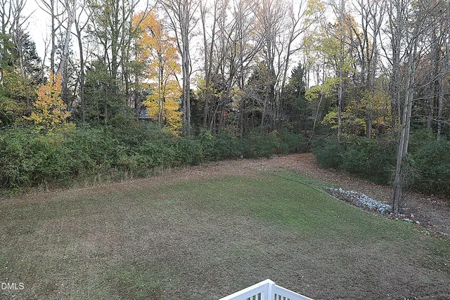 a view of a field with trees in the background
