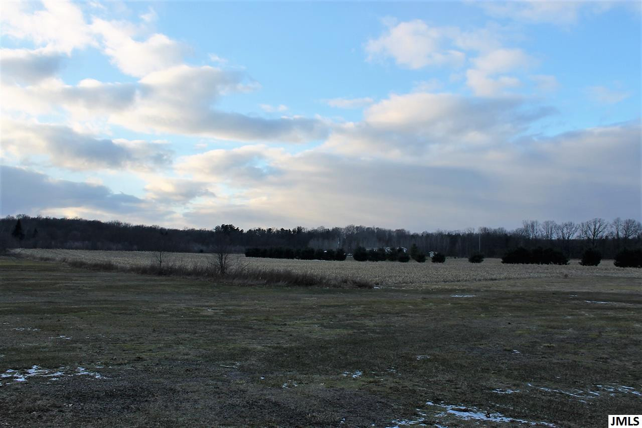 9230 Benn Road Parma, MI 49269 - Photo 6 of 28 Photo 6