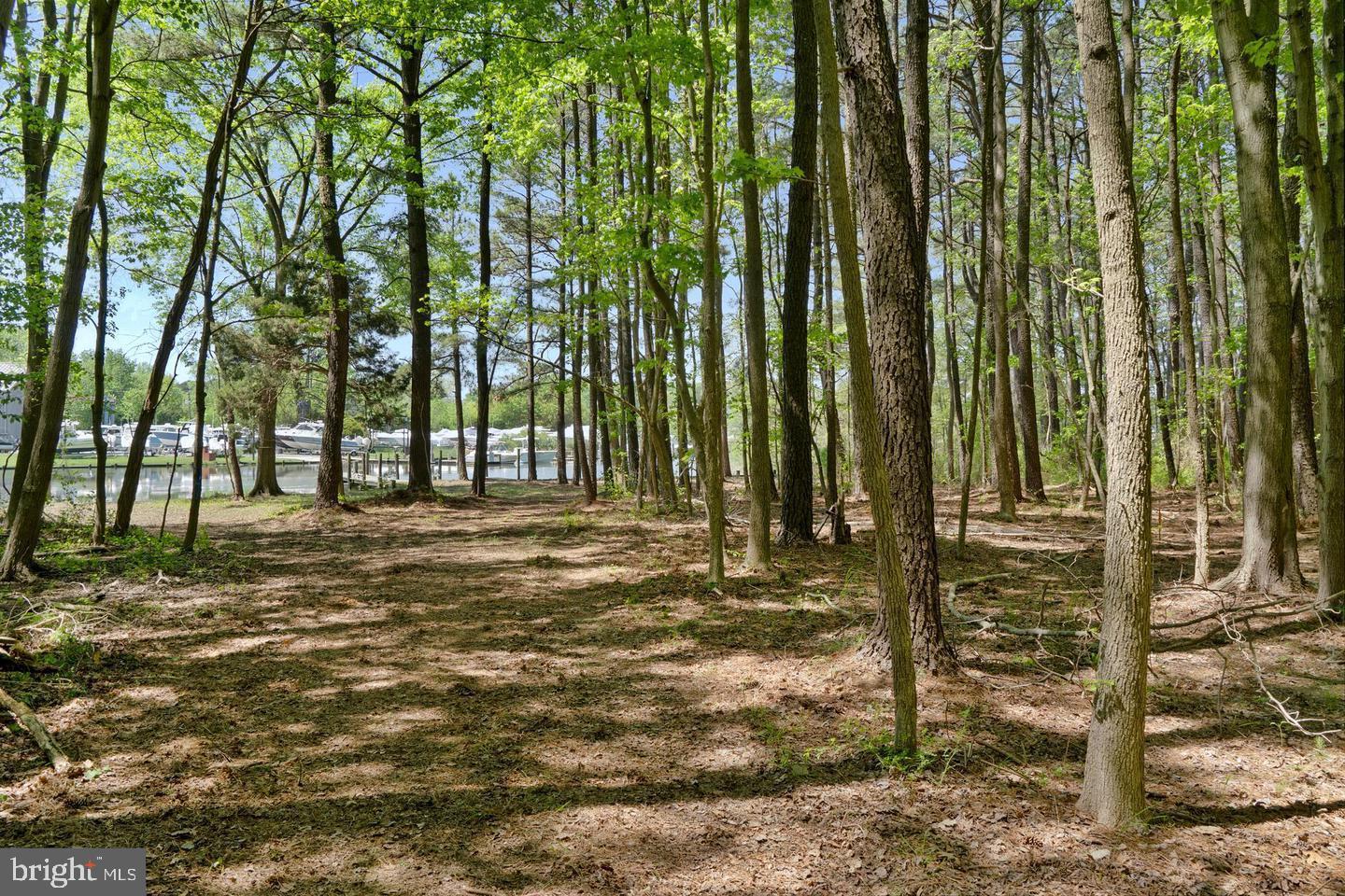 715 Winchester Creek Road Grasonville, MD 21638 - Photo 16 of 19 a view of outdoor space with seating area