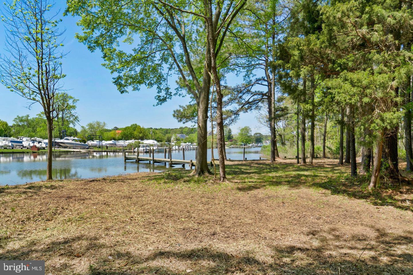 715 Winchester Creek Road Grasonville, MD 21638 - Photo 3 of 19 a lake view with large trees