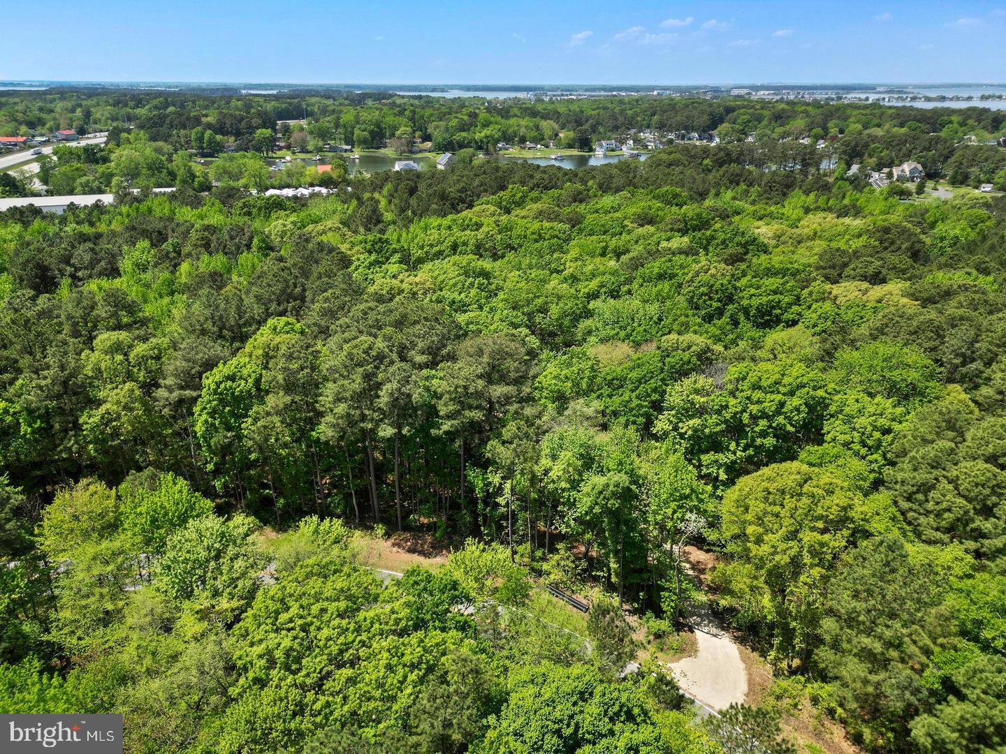 715 Winchester Creek Road Grasonville, MD 21638 - Photo 6 of 19 a view of a green field with lots of bushes