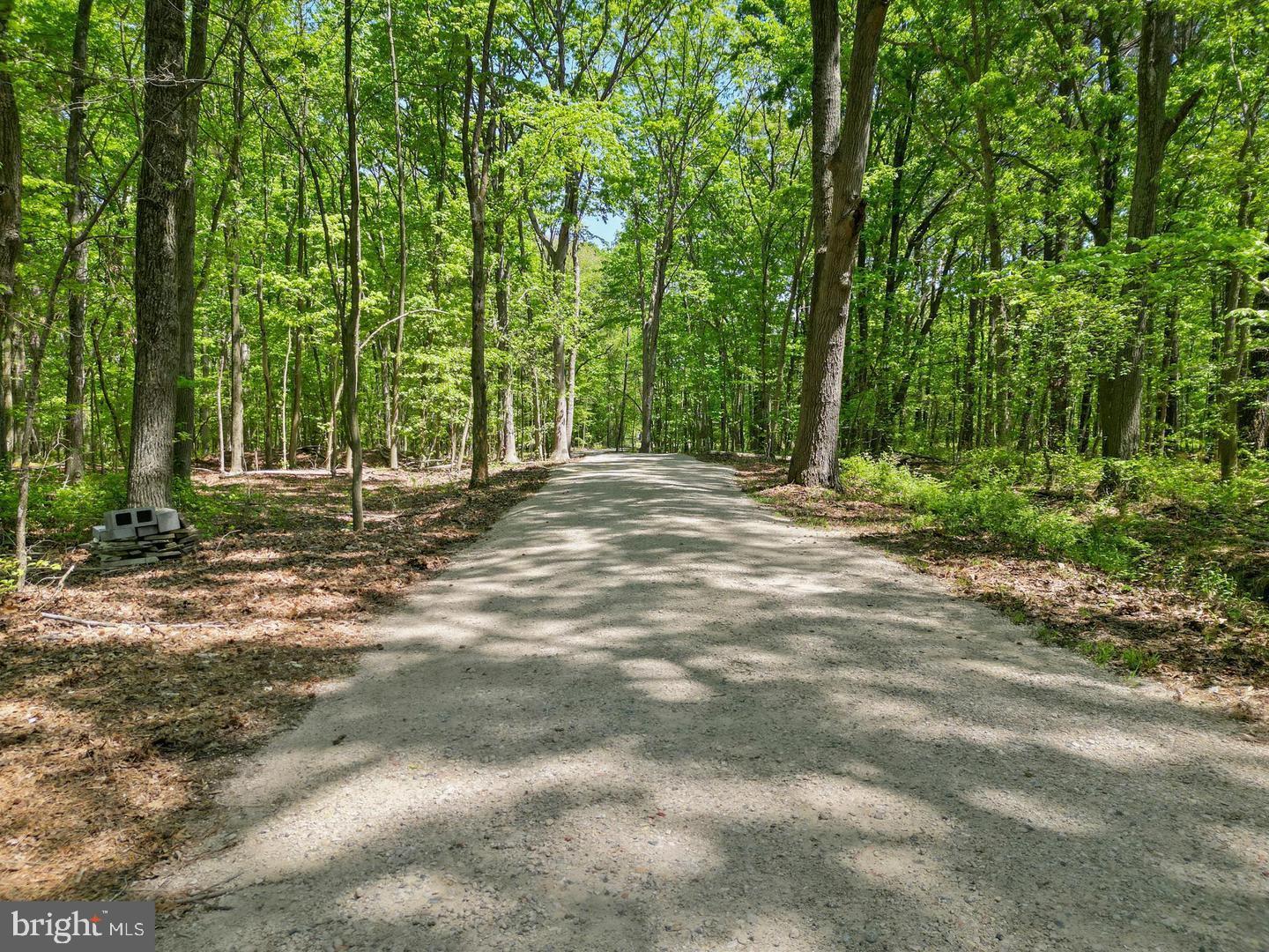 715 Winchester Creek Road Grasonville, MD 21638 - Photo 7 of 19 a view of outdoor space with trees