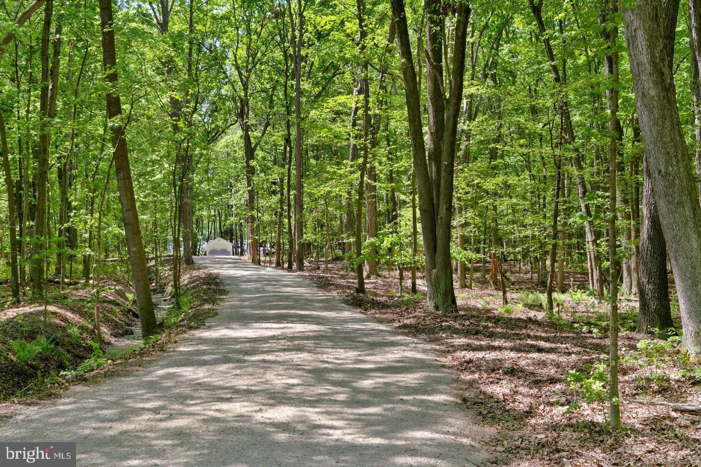 715 Winchester Creek Road Grasonville, MD 21638 - Photo 8 of 19 a view of a yard with plants and trees