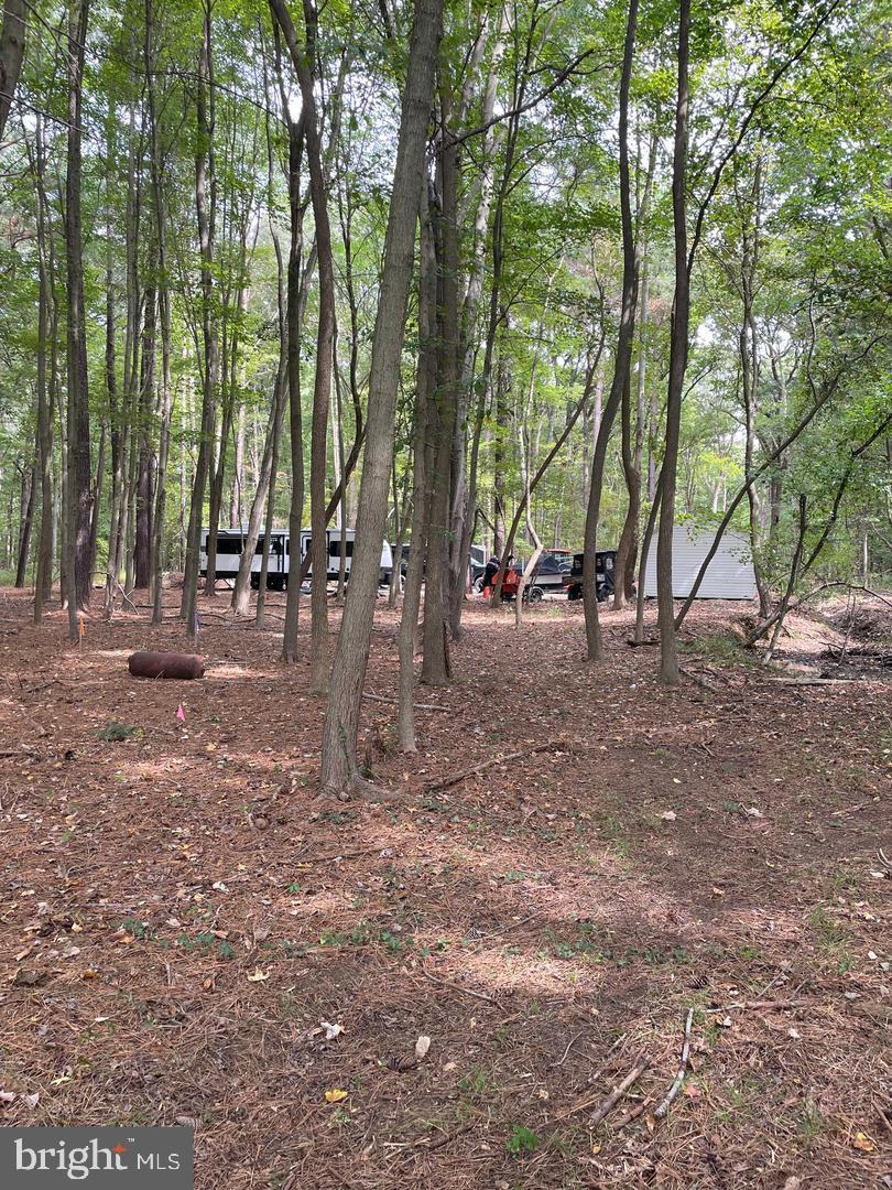 715 Winchester Creek Road Grasonville, MD 21638 - Photo 9 of 19 a view of outdoor space with trees