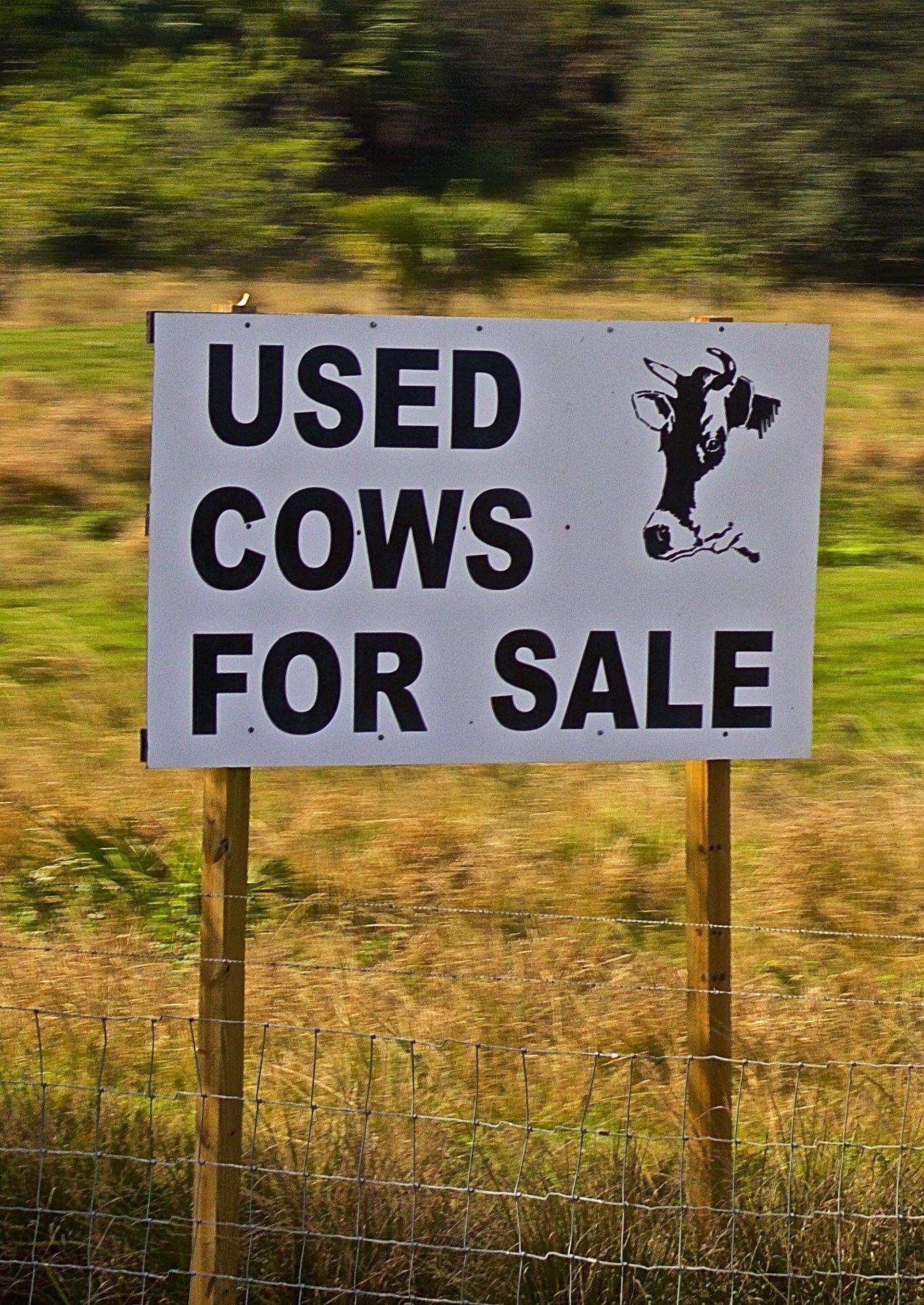 8841 First Tee Road Port St. Lucie, FL 34986 - Photo 97 of 228 1228 Used Cow Sign