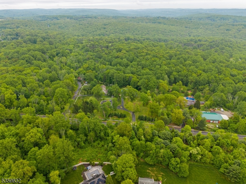 1625 Highway 206 Chester, NJ 07930 - Photo 45 of 46 a view of a field with an trees