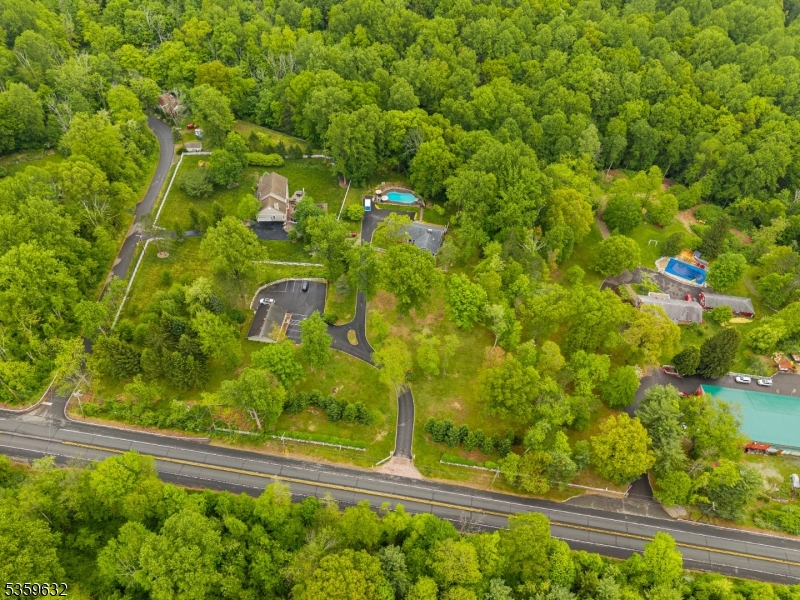 1625 Highway 206 Chester, NJ 07930 - Photo 46 of 46 a view of a yard with plants