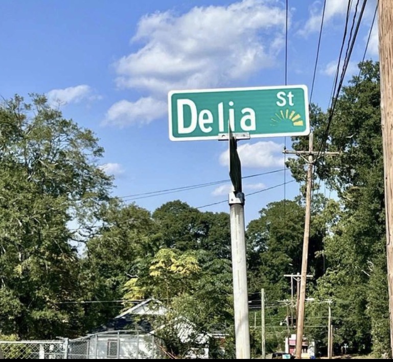 701 Delia Street, Unit B Anderson, SC 29624 - Photo 6 of 25 This residential street, lined with mature trees, offers a peaceful community setting.