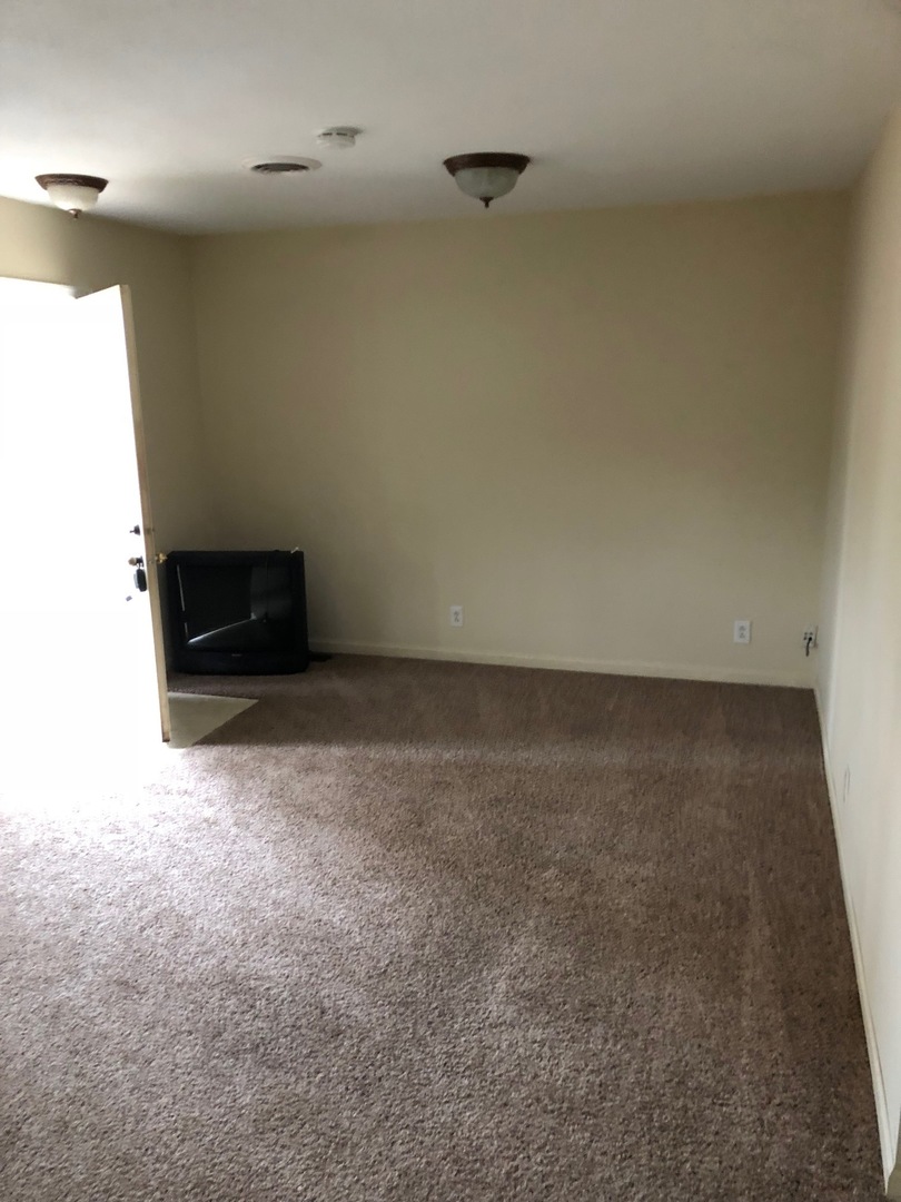 110 North Front Road, Unit F Danforth, IL 60930 - Photo 3 of 9