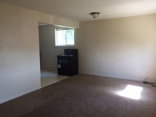 110 North Front Road, Unit F Danforth, IL 60930 - Photo 4 of 9