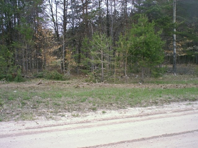 5567 Cool Road Southeast Kalkaska, MI 49646 - Photo 2 of 7 1808255-1.JPG