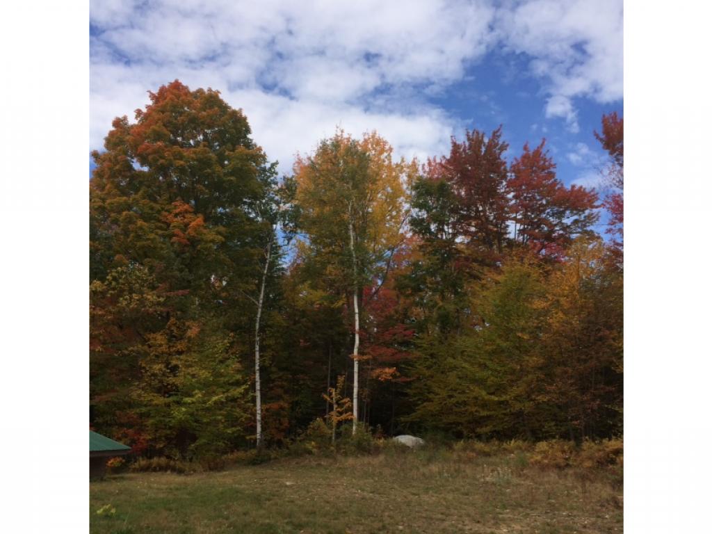 493 Northam Road Rutland, VT 05701 - Photo 14 of 23 Gallery Image 14
