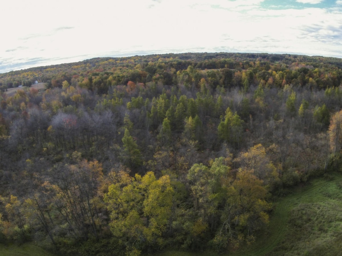 4900 Shaw Road Hastings, MI 49058 - Photo 57 of 59 4900 Shaw Rd-306