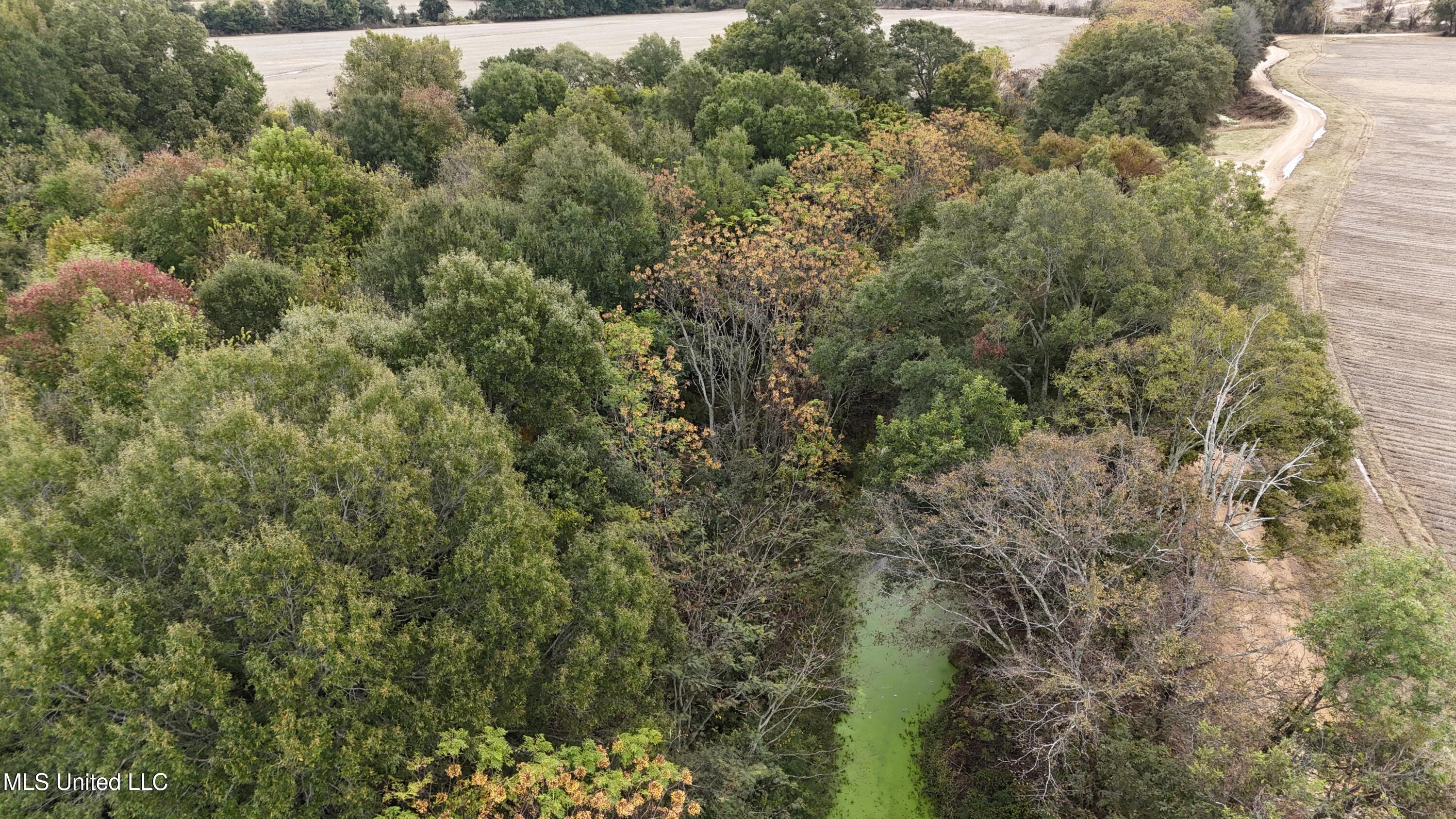 Mitchell Road Greenwood, MS 38930 - Photo 11 of 41 dji_fly_20251028_112118_0145_17617831705