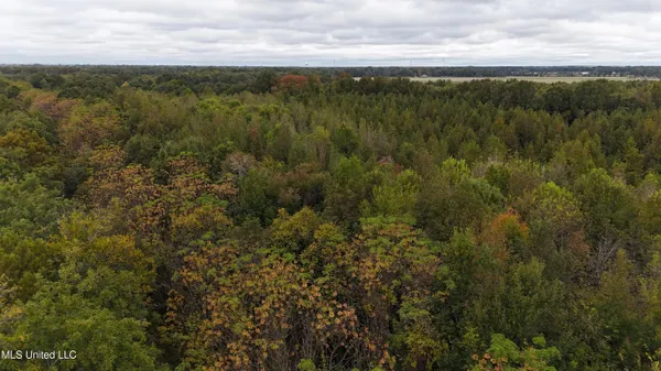 $90,000 | Mitchell Road, Greenwood, MS 38930